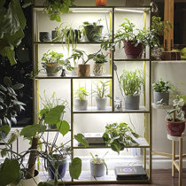grow lights for shelves