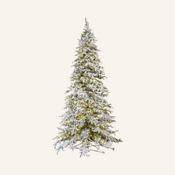 Flocked Balsam Tree Wayfair