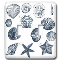 3dRose lsp_155830_6 Blue Sea Shells Nautical Beach Theme Ocean Art 2 Plug Outlet Cover 3dRose lsp_155830_6 Blue Sea Shells Nautical Beach Theme Ocean Art 2 Plug Outlet Cover