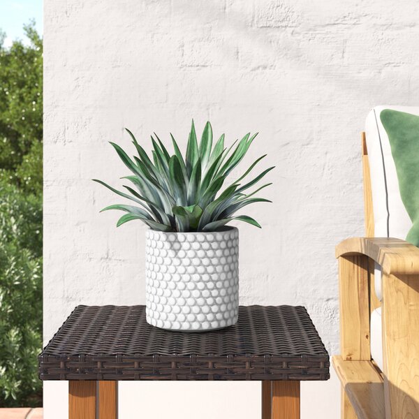 retro leopard print Terracotta plant pot & faux Cactus Plant tiki gift 1 