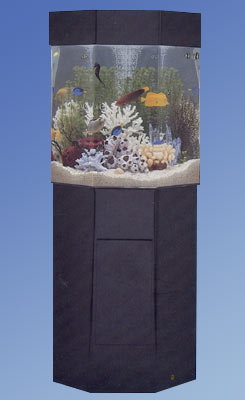 Midwest Tropical Fountain Aqua 35 Gallon Custom Pentagon Aquarium With Stand Wayfair
