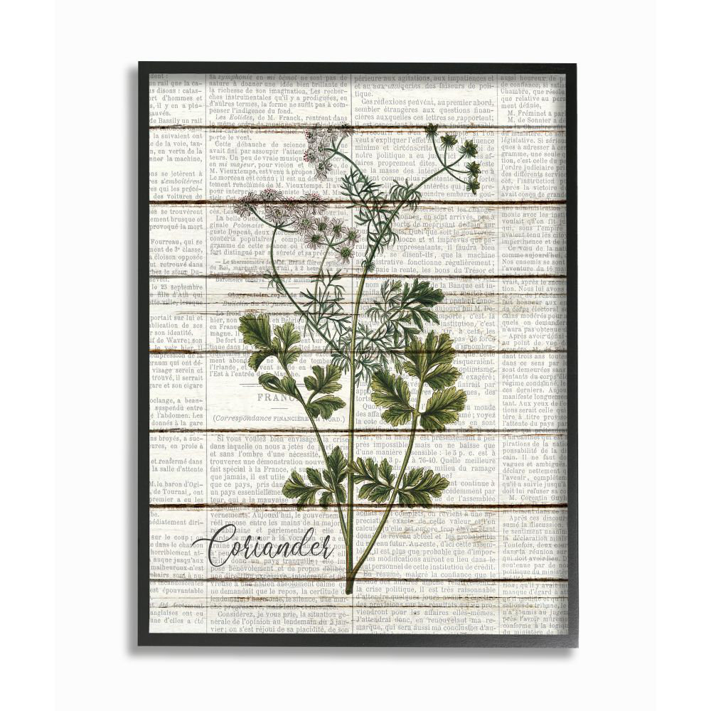 Gracie Oaks Coriander Vintage Herb Kitchen Dining Room Word Collage