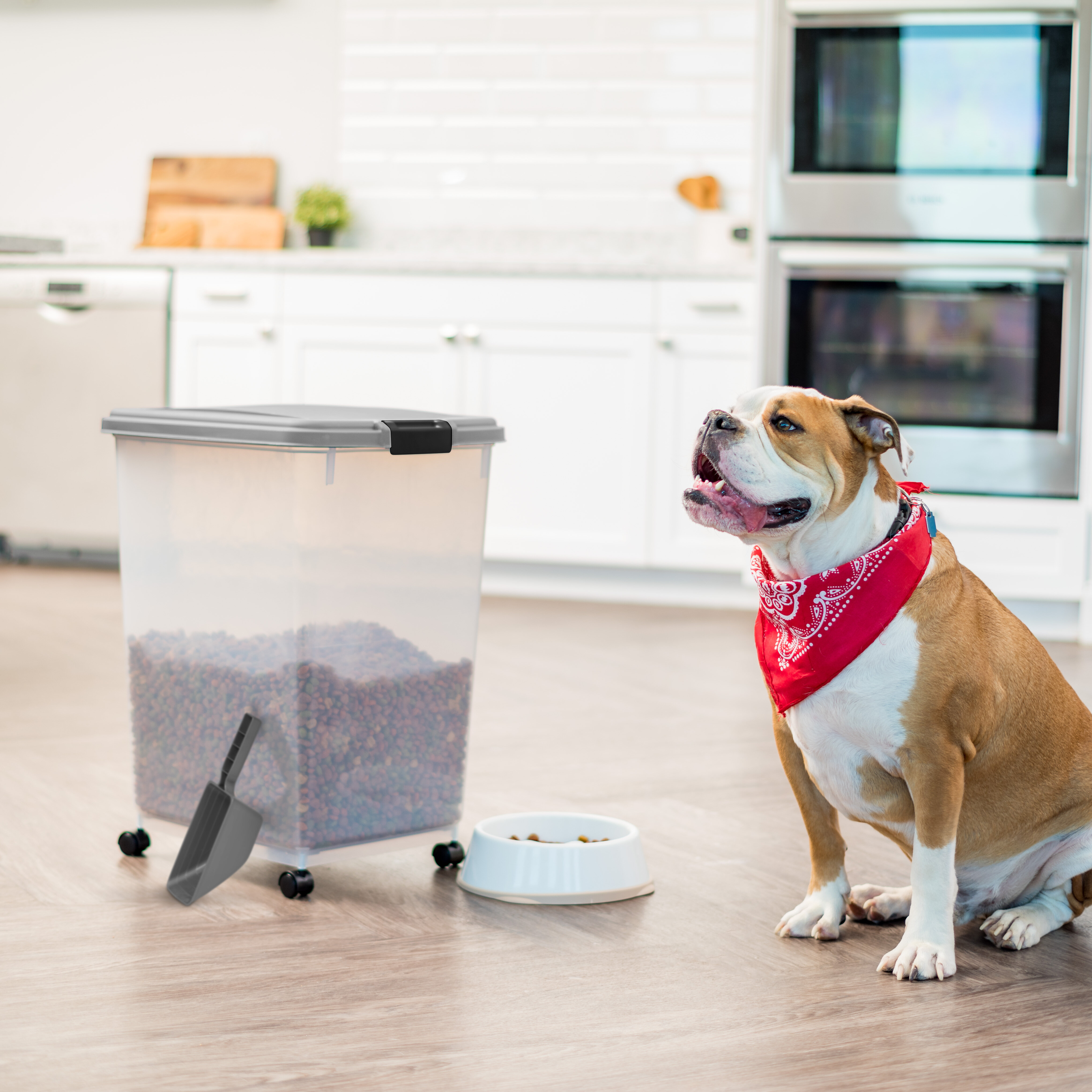 airtight pet food container