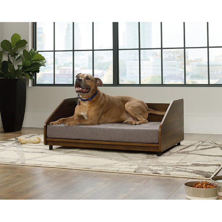 wayfair dog sofa