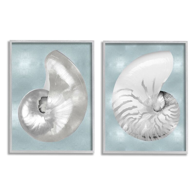 Rosecliff Heights Minimal Nautilus Shell By Caroline Kelly 2 Piece Painting Print Set Wayfair
