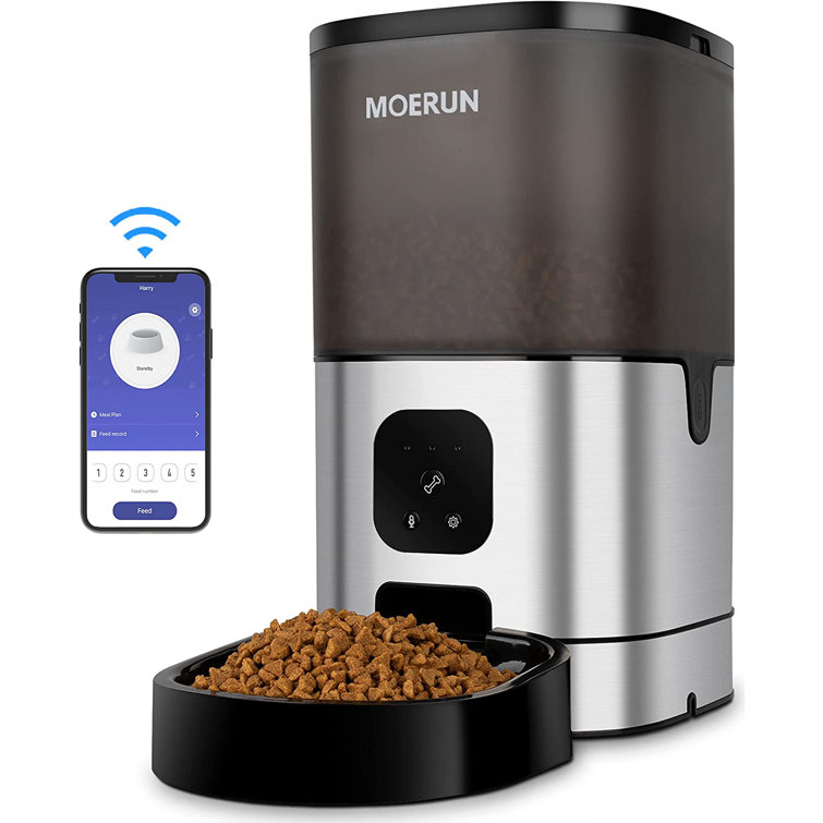 automatic dog food dispenser