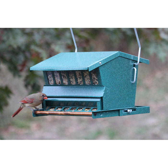 Farm Innovators Absolute Combo Hopper Bird Feeder Wayfair