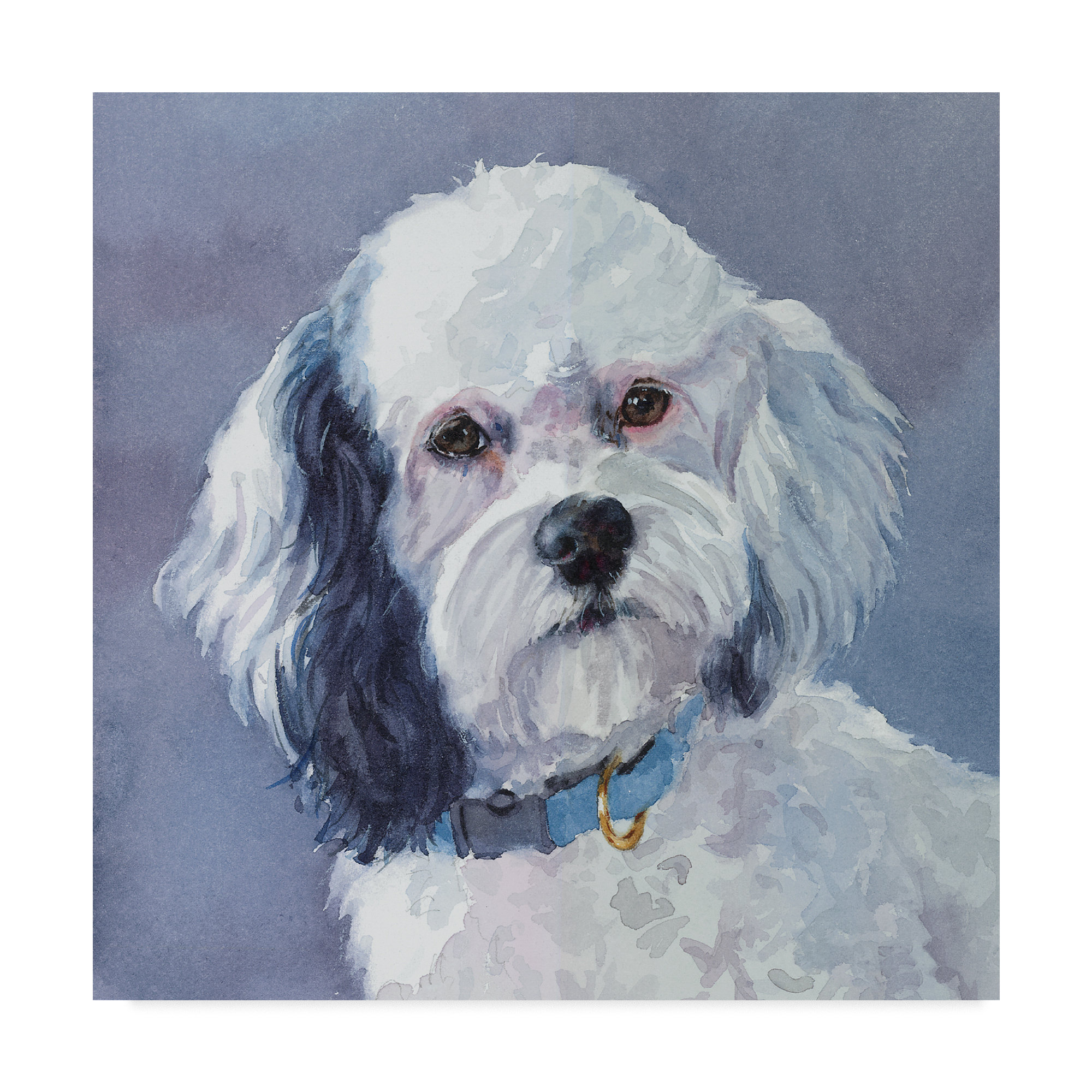 cockapoo painting