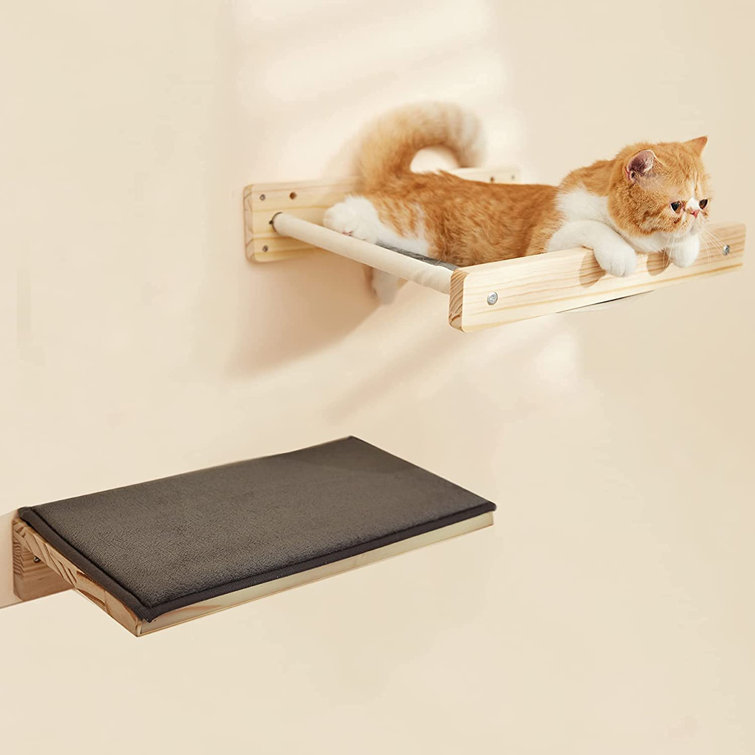 cat hammock for wall