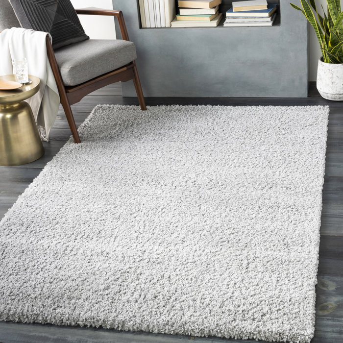 Bjarne Solid And Border Light Gray Area Rug Bjarne Solid And Border Light Gray Area Rug