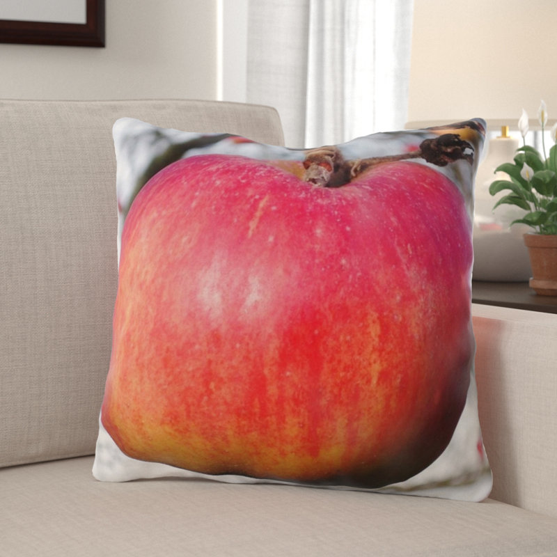 The Holiday Aisle Wall Street Apple Indoor Outdoor Throw Pillow Wayfair