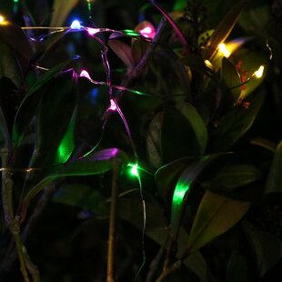 20 Light LED Diwali Party Fairy Light By The Seasonal Aisle