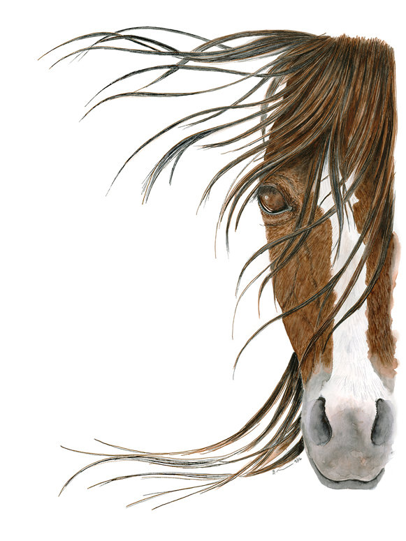 Union Rustic Horse Portrait 2 By Brett Blumenthal Acrylic