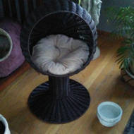 esperanza elevated cat bed