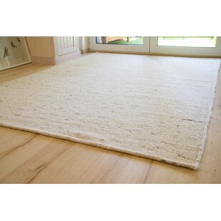 Long Thin Rugs Wayfair Co Uk