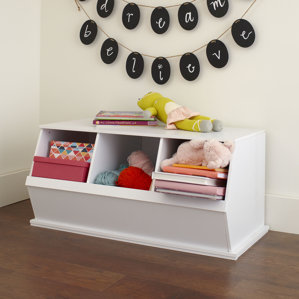 Go-To Storage Cubby by Birch Lane Kids?