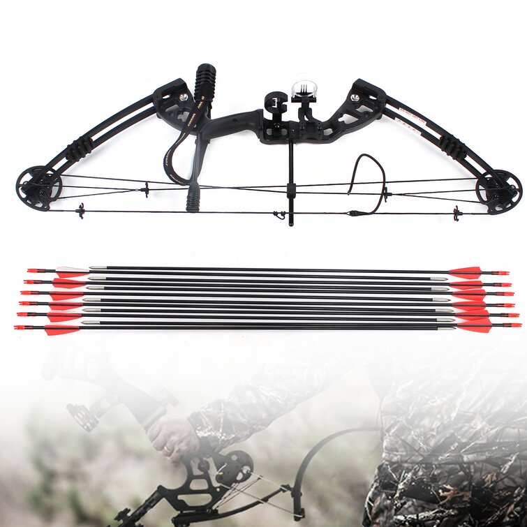 12pcs Archery Carbon Arrows 31'' Hunting Compound Recurve Bow with Camo Quiver 