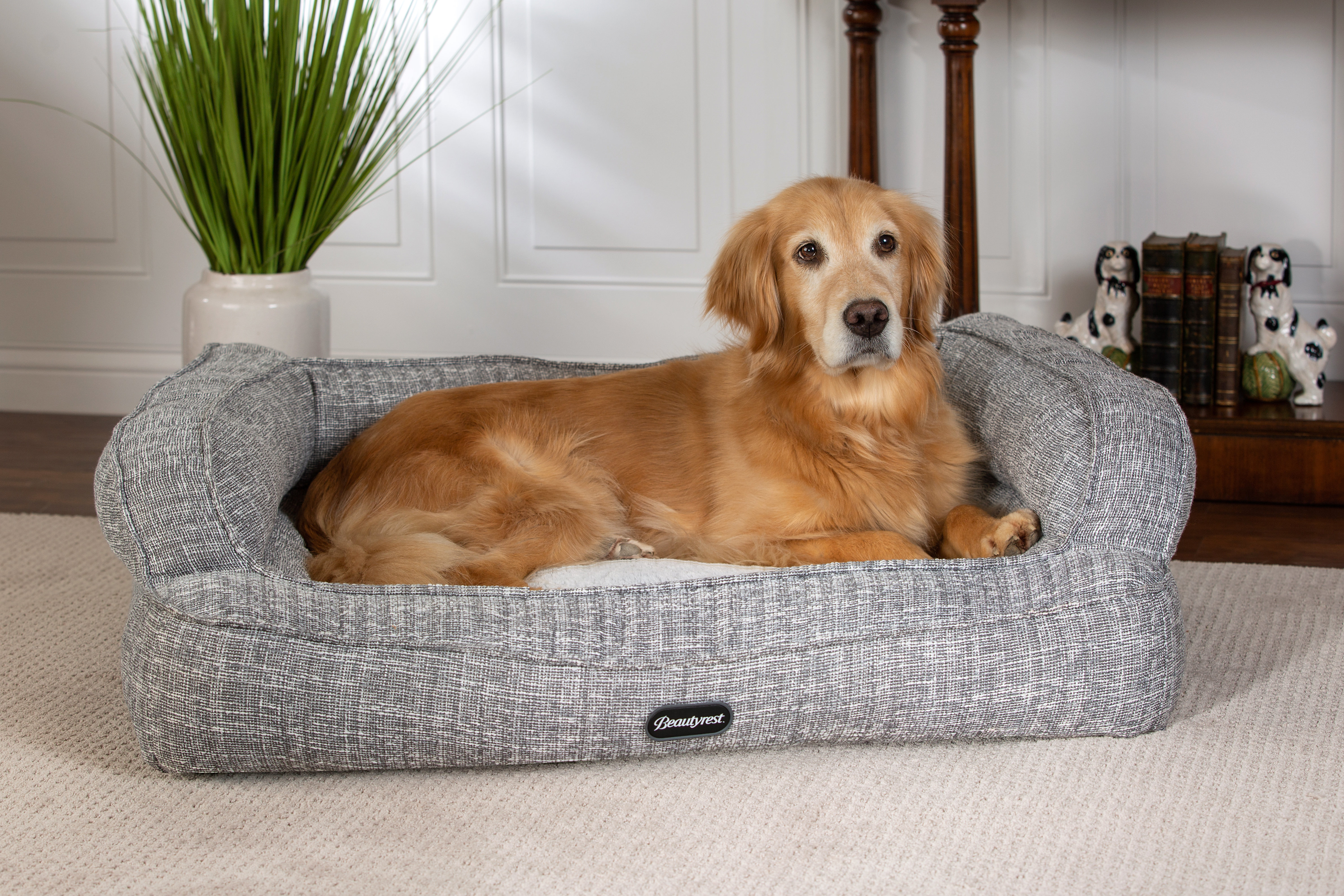 Beautyrest Comfort Lounger Bolster Reviews Wayfair