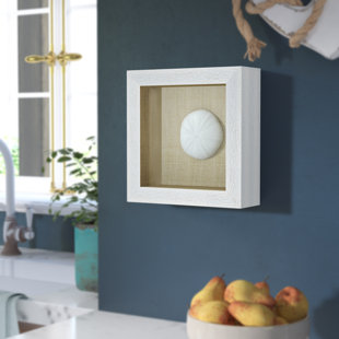 Sea Fan Shadow Box Wayfair Amit Sea Urchin Shadow Box Wall Decor