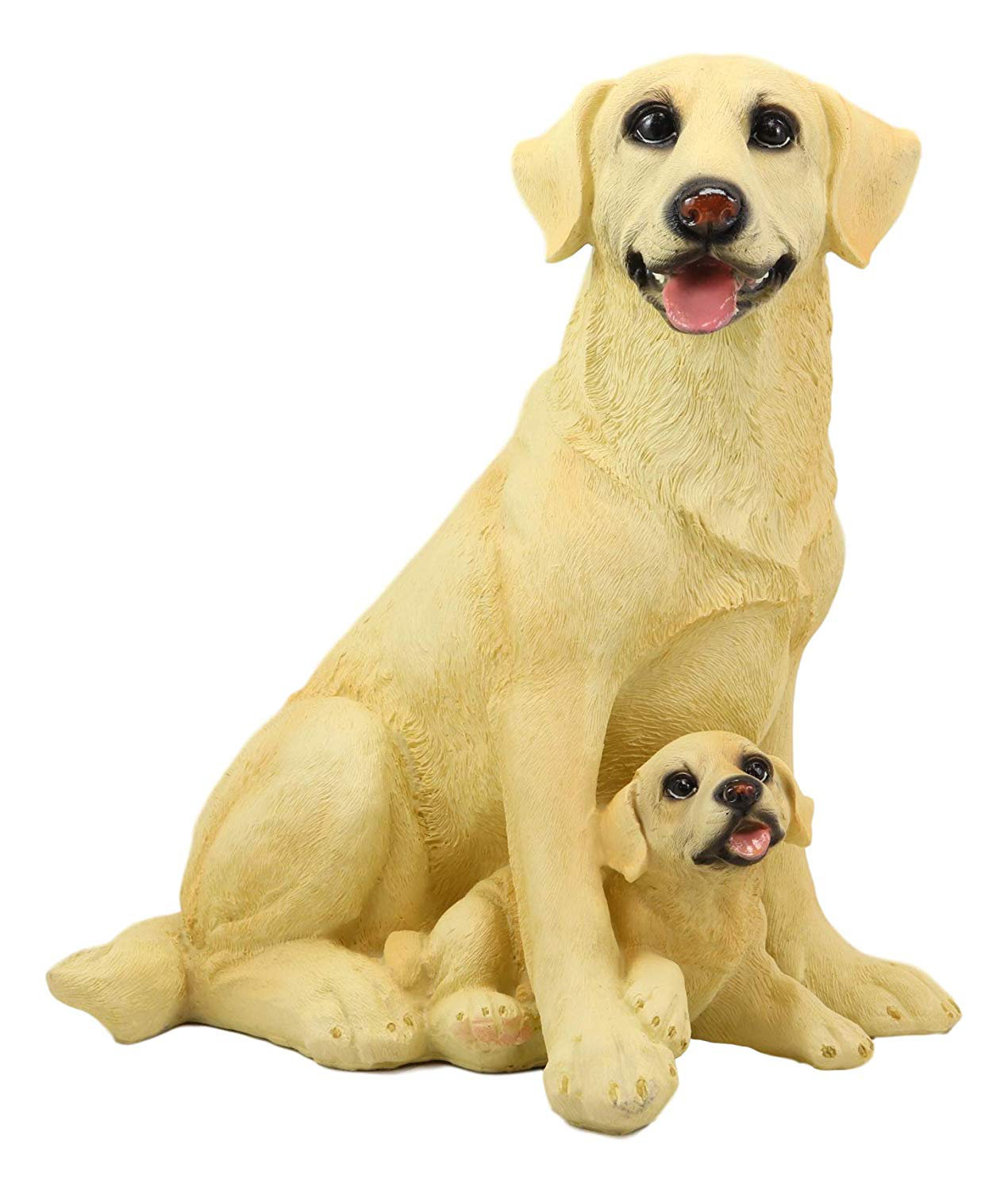 labrador yellow puppy