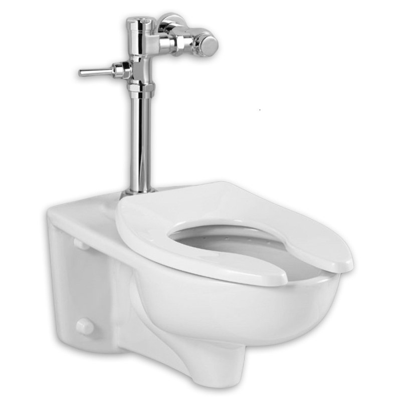 American Standard Afwall Everclean 1 6 Gpf Elongated One Piece Toilet Seat Included Wayfair