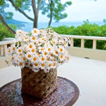 Details about   Miniature Home Decoration Miniature Artificial Flower Potted Resin Materials New 