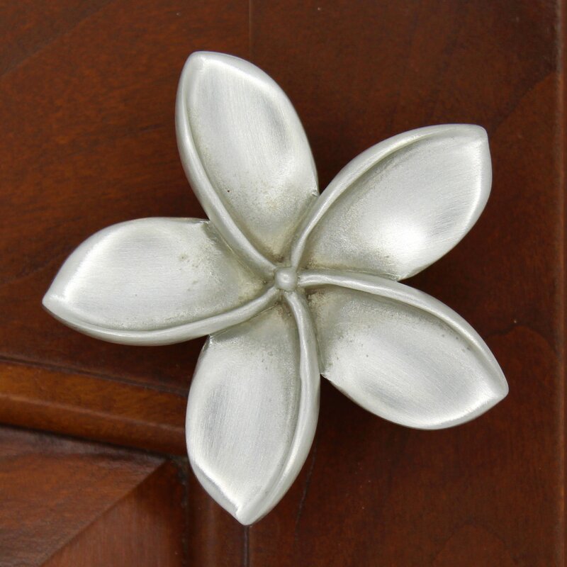 Sea Life Cabinet Knobs 2 1/2