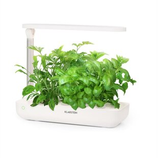 Growit Flex 37cm W X 17cm D Mini Greenhouse By Klarstein