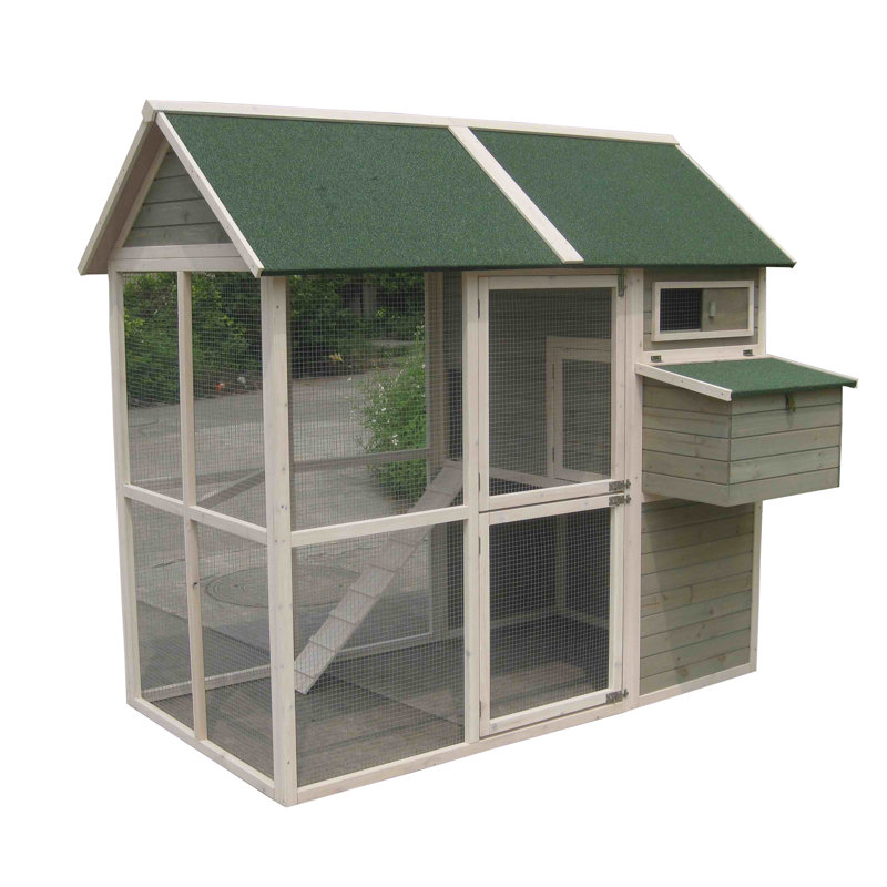 Coops And Feathers Walk In Chicken Coop With Chicken Run