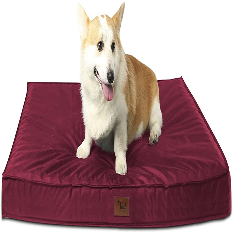 cat bed with removable cover