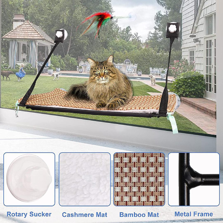 cat hammock for large cats