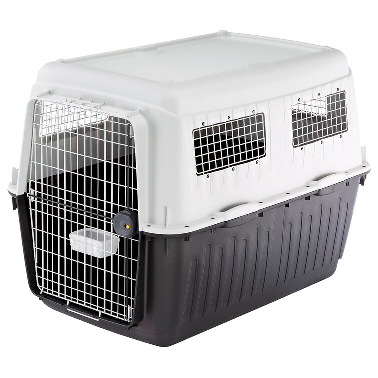 ferplast atlas 100 dog crate