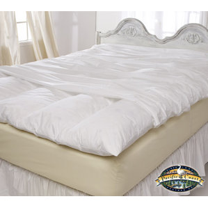 Zip Closure Feather Mattress Protector by Alwyn Home