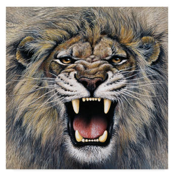 Trademark Art Lion Roaring Acrylic Painting Print On Wrapped