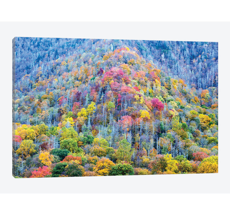 East Urban Home Colorful Autumn Landscape Great Smoky Mountains National Park Photographic Print On Canvas Wayfair