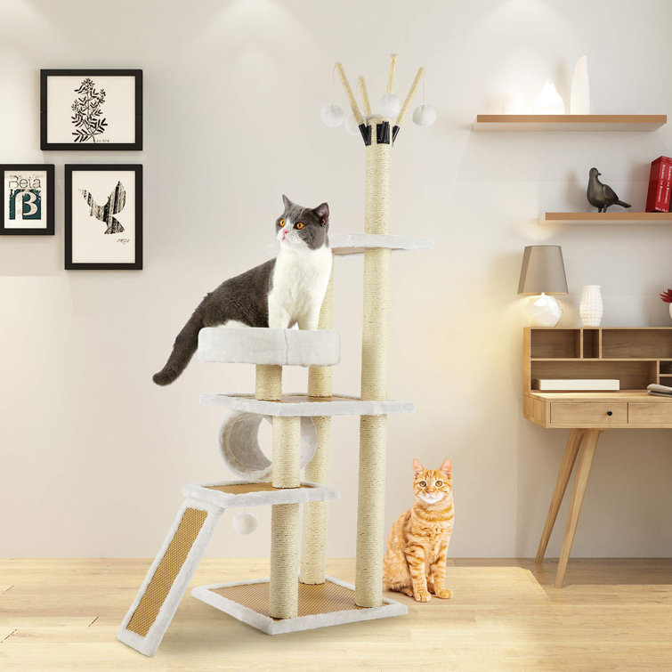 cat play stand
