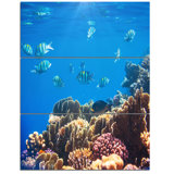 3 Piece Coral Canvas Art You Ll Love In 2020 Wayfair