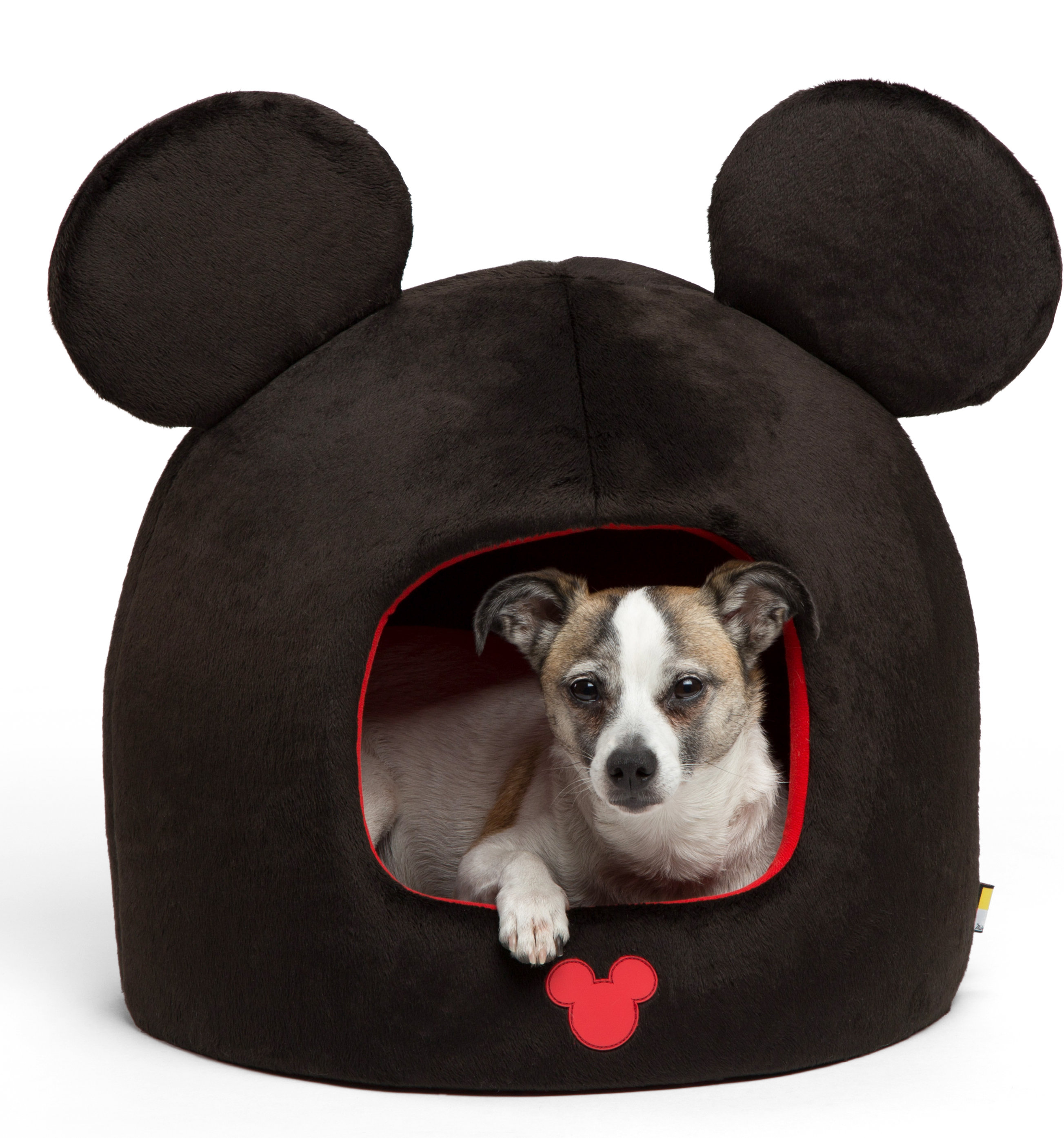 mickey mouse characters dog