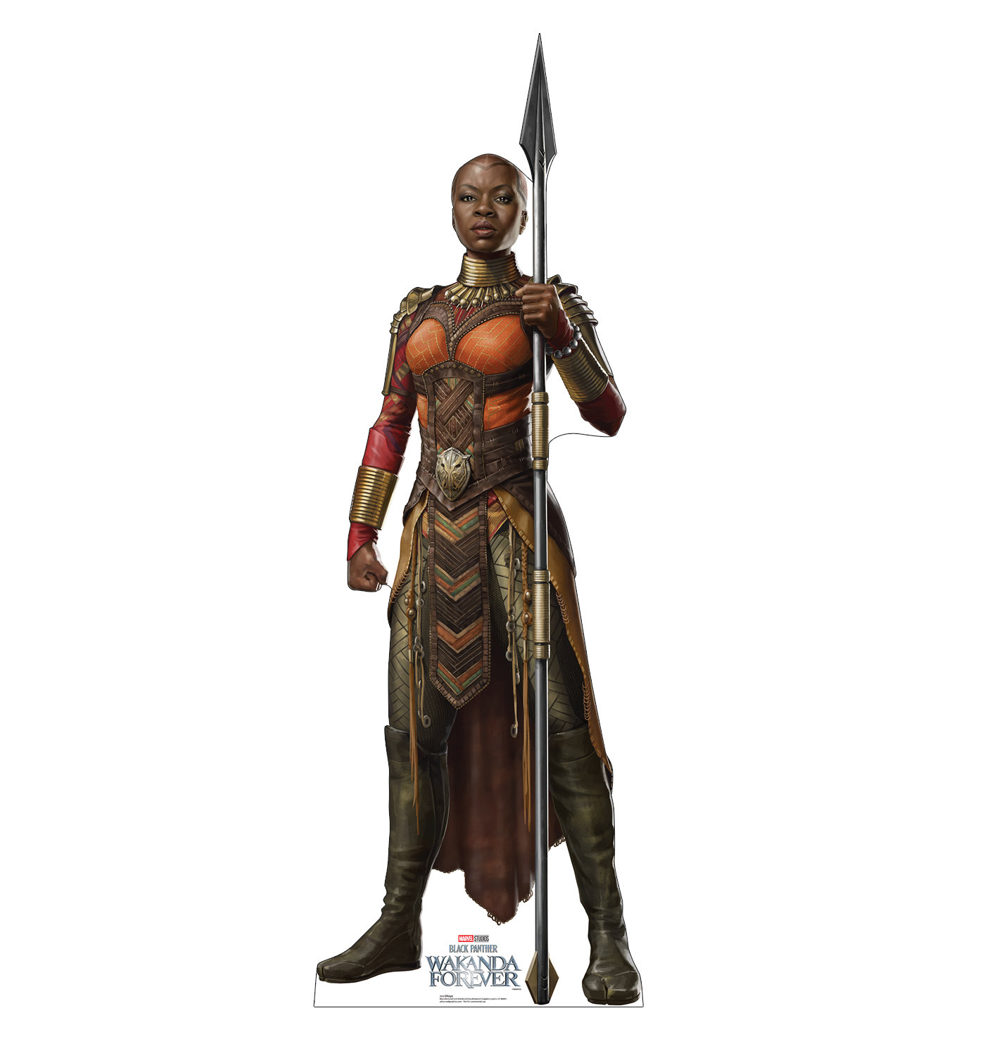 Advanced Graphics Okoye (Black Panther Wakanda Forever) | Wayfair