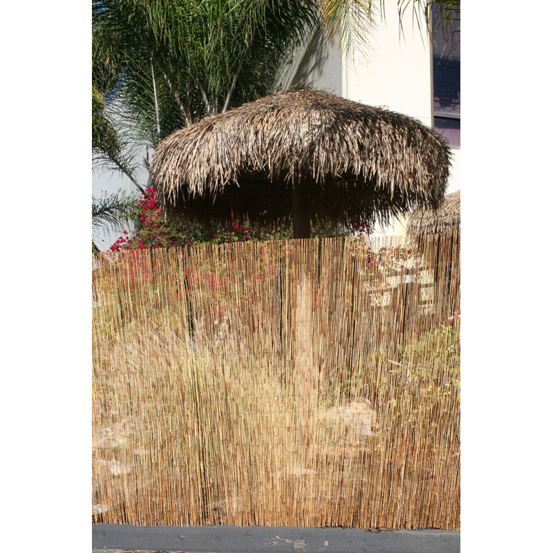 Backyard X Scapes 6 Ft H X 16 Ft W Coffee Reed Screen Fencing