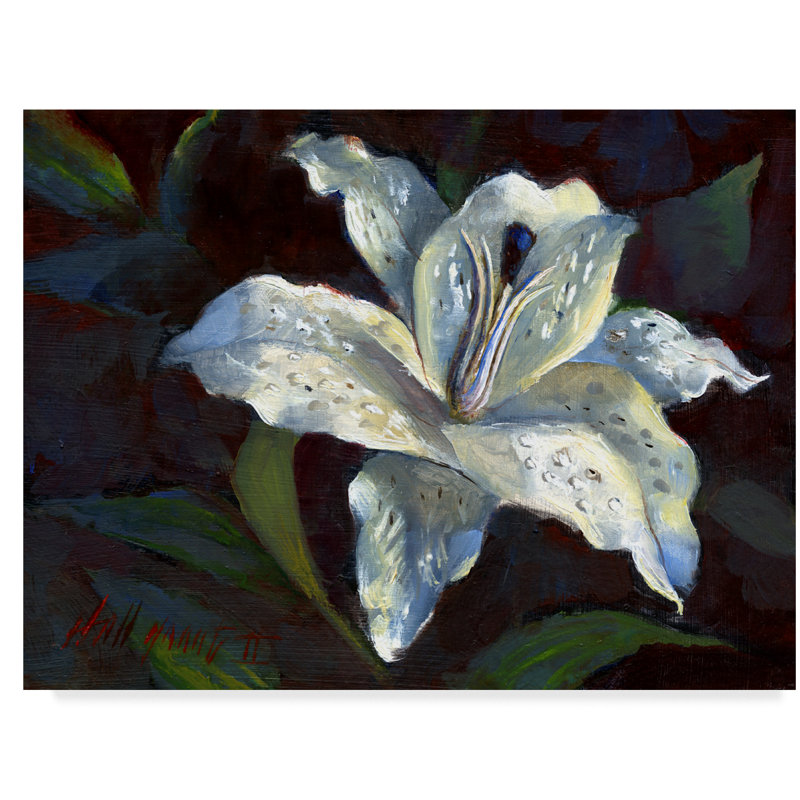 Trademark Art White Lily Dark Acrylic Painting Print On Wrapped