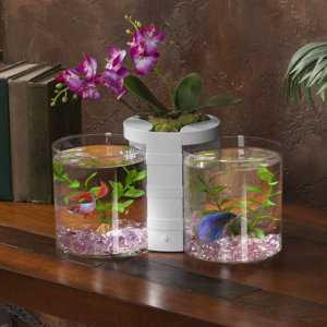 0.5 Gallon Betta Cylinder and Planter Aquarium Bowl
