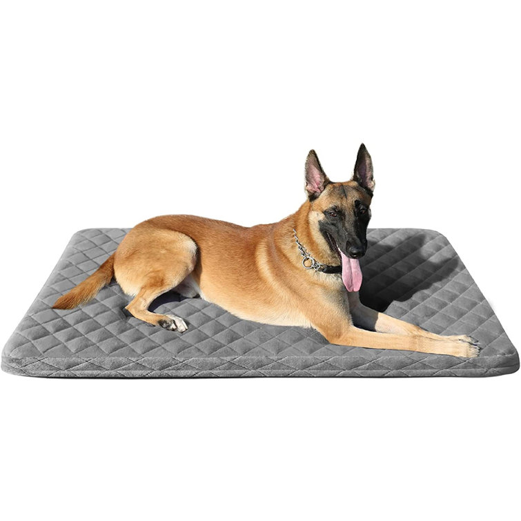 anti dog mat