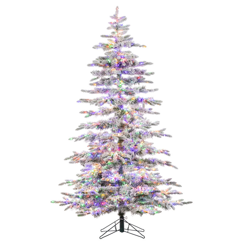 The Holiday Aisle Mountain 6 5 Green Pine Artificial Christmas Tree With 1460 Colored And White Lights Wayfair