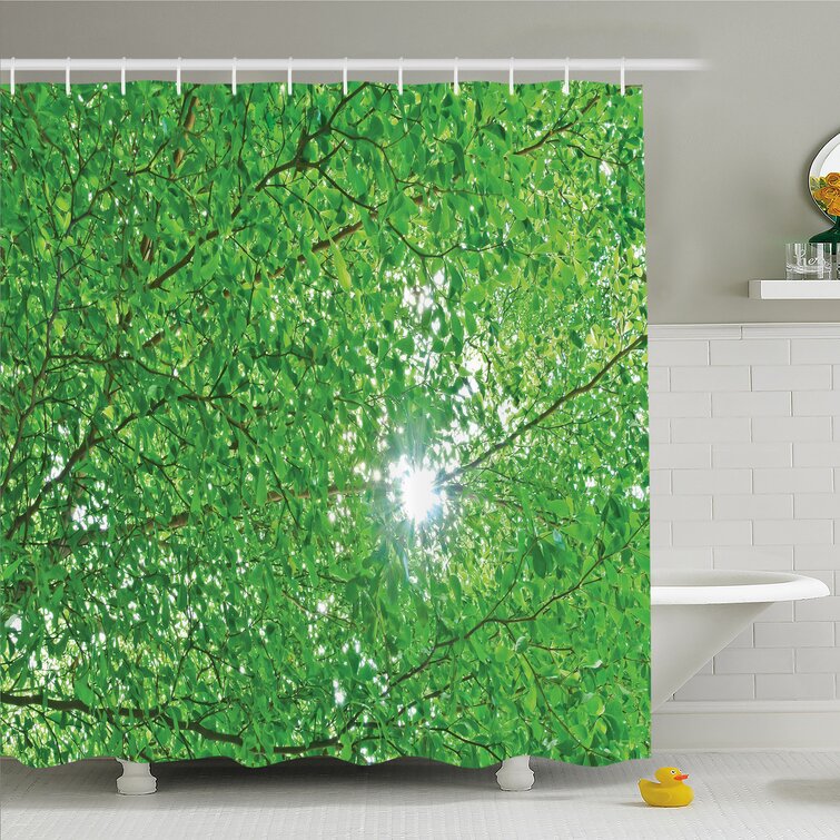 Lime Green Olive Spring Foliage Beech Forest Morning View in the Mountains Ambesonne Farm House Decor Collection Polyester Fabric Bathroom Shower Curtain Set with Hooks 75 Inches Long