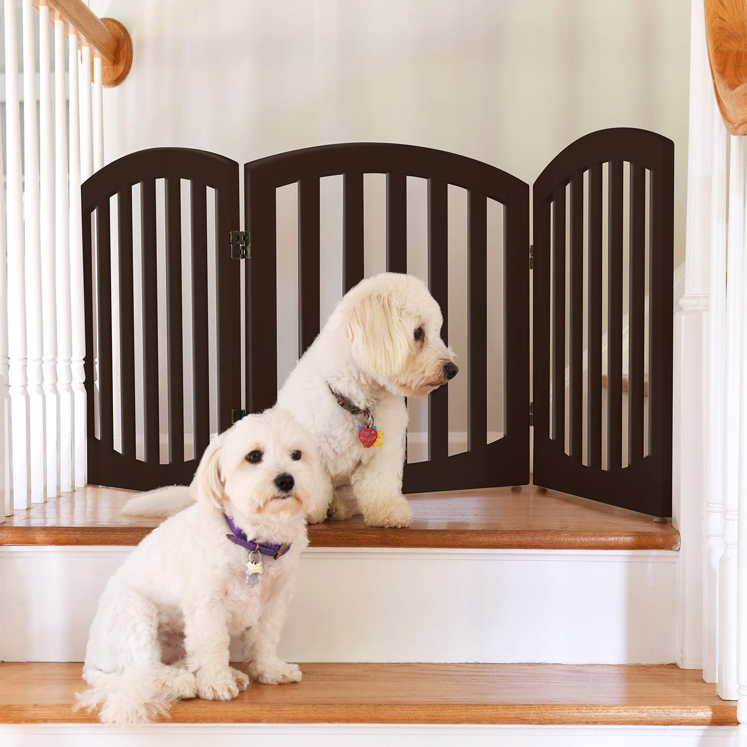 wayfair pet fence