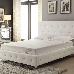 vera wang memory foam mattress