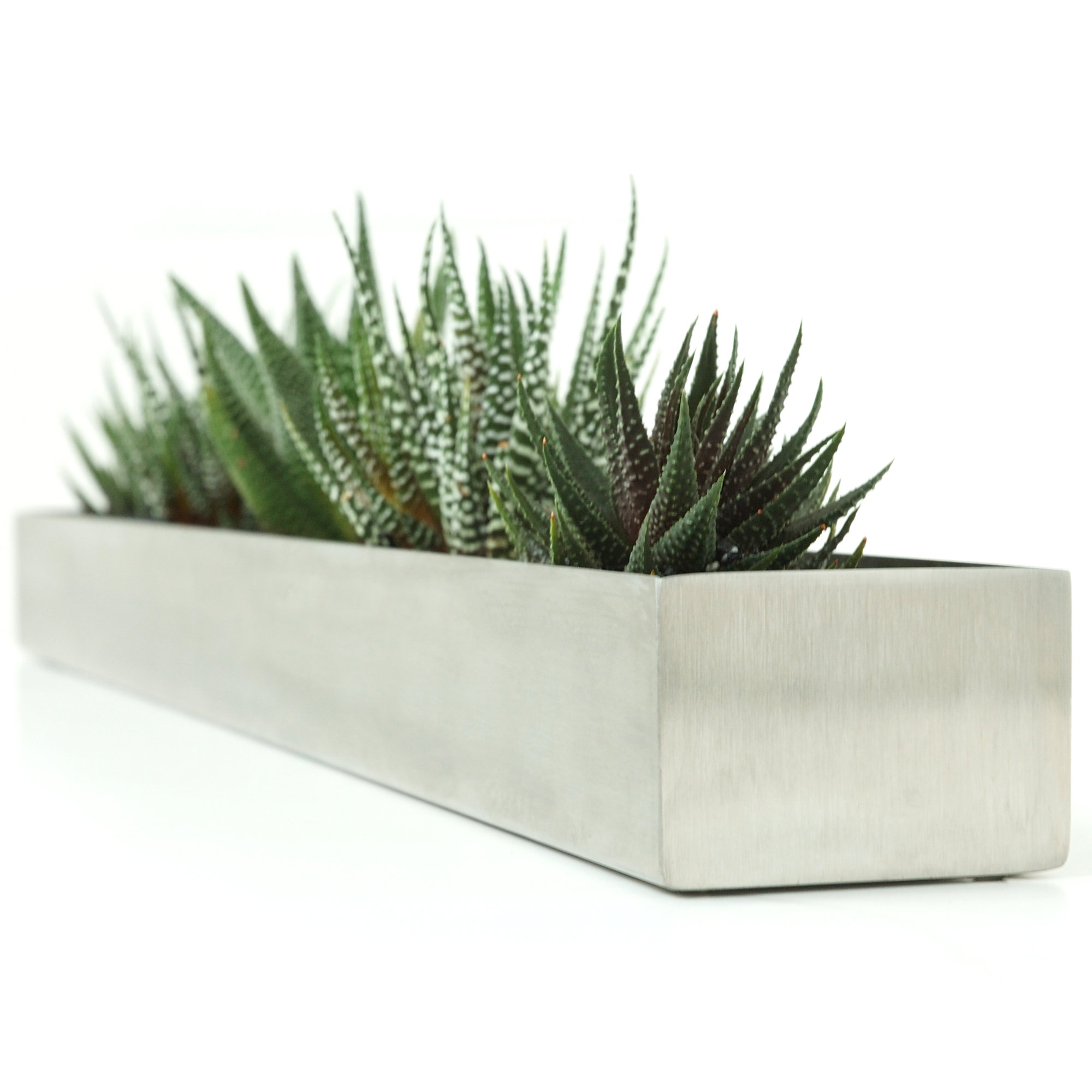 Stainless Steel Planter Box Allmodern