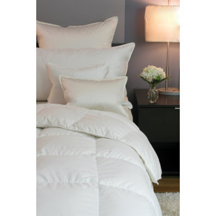 Duvet Cover 90 X 98 Wayfair Lullaby Siberian Lightweight Down Comforter By Cozy