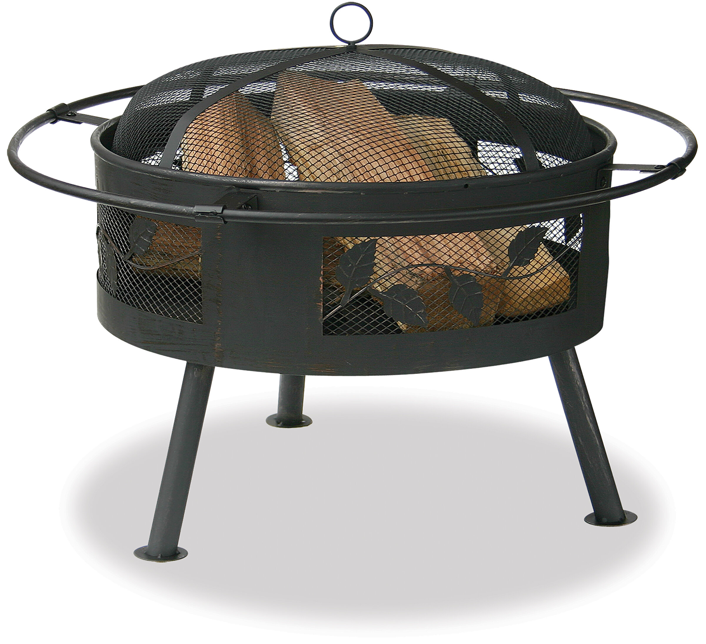 Steel Wood Burning Fire Pit Reviews Birch Lane